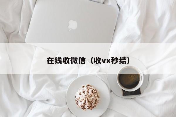 在线收微信（收vx秒结）